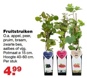 Aanbiedingen Fruitstruiken - Huismerk - Praxis - Geldig van 03/04/2017 tot 09/04/2017 bij Praxis
