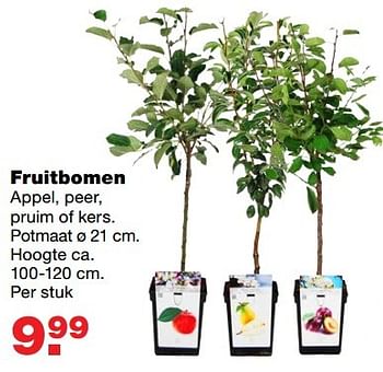 Aanbiedingen Fruitbomen - Huismerk - Praxis - Geldig van 03/04/2017 tot 09/04/2017 bij Praxis