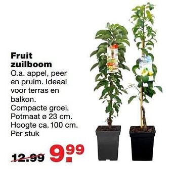 Aanbiedingen Fruit zuilboom - Huismerk - Praxis - Geldig van 03/04/2017 tot 09/04/2017 bij Praxis