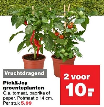 Aanbiedingen Pick+joy groenteplanten - Huismerk - Praxis - Geldig van 03/04/2017 tot 09/04/2017 bij Praxis