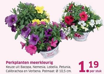 Aanbiedingen Perkplanten meerkleurig - Huismerk - Lidl - Geldig van 04/04/2017 tot 15/04/2017 bij Lidl
