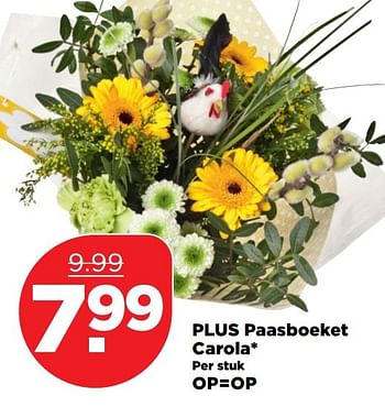 Aanbiedingen Plus paasboeket carola - Huismerk - Plus - Geldig van 09/04/2017 tot 15/04/2017 bij Plus