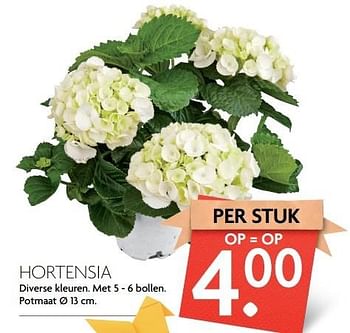 Aanbiedingen Hortensia - Huismerk - Deka Markt - Geldig van 09/04/2017 tot 15/04/2017 bij Deka Markt