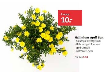 Aanbiedingen Halimium april sun - Huismerk- Boerenbond - Geldig van 03/04/2017 tot 16/04/2017 bij Boerenbond