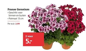 Aanbiedingen Franse geranium - Huismerk- Boerenbond - Geldig van 03/04/2017 tot 16/04/2017 bij Boerenbond