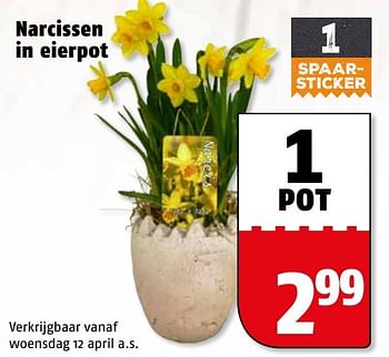Aanbiedingen Narcissen in eierpot - Huismerk Poiesz - Geldig van 10/04/2017 tot 17/04/2017 bij Poiesz