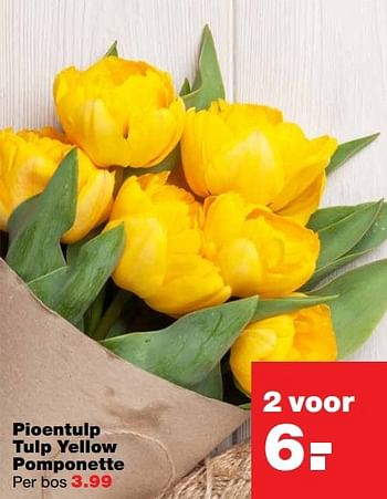 Aanbiedingen Pioentulp tulp yellow pomponette - Huismerk - Praxis - Geldig van 10/04/2017 tot 17/04/2017 bij Praxis