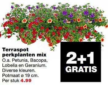 Aanbiedingen Terraspot perkplanten mix - Huismerk - Praxis - Geldig van 10/04/2017 tot 17/04/2017 bij Praxis
