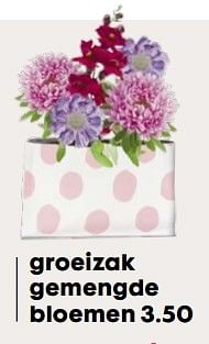 Aanbiedingen Groeizak gemengde bloemen - Huismerk - Hema - Geldig van 03/04/2017 tot 17/04/2017 bij Hema