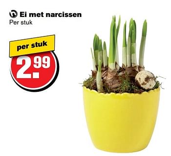 Aanbiedingen Ei met narcissen - Huismerk - Hoogvliet - Geldig van 12/04/2017 tot 18/04/2017 bij Hoogvliet