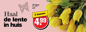 Aanbiedingen Tulpen - Huismerk - Hoogvliet - Geldig van 12/04/2017 tot 18/04/2017 bij Hoogvliet