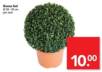 Aanbiedingen Buxus bol - Huismerk deen supermarkt - Geldig van 16/04/2017 tot 22/04/2017 bij Deen Supermarkten