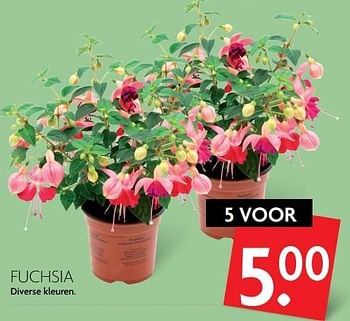 Aanbiedingen Fuchsia - Huismerk - Deka Markt - Geldig van 16/04/2017 tot 22/04/2017 bij Deka Markt