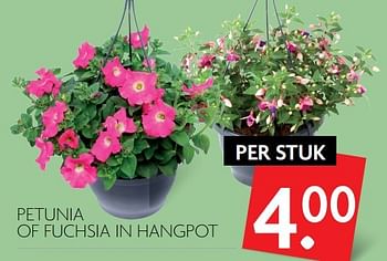 Aanbiedingen Petunia of fuchsia in hangpot - Huismerk - Deka Markt - Geldig van 16/04/2017 tot 22/04/2017 bij Deka Markt