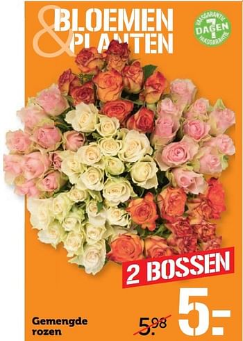 Aanbiedingen Gemengde rozen - Huismerk - Coop - Geldig van 17/04/2017 tot 23/04/2017 bij Coop