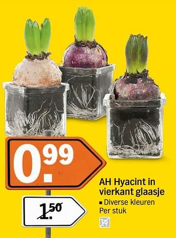 Aanbiedingen Ah hyacint in vierkant glaasje - Huismerk - Albert Heijn - Geldig van 18/04/2017 tot 23/04/2017 bij Albert Heijn