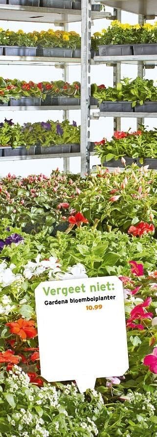 Aanbiedingen Gardena bloembolplanter - Huismerk - Gamma - Geldig van 18/04/2017 tot 23/04/2017 bij Gamma