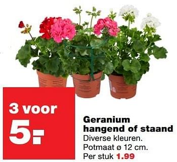Aanbiedingen Geranium hangend of staand - Huismerk - Praxis - Geldig van 18/04/2017 tot 23/04/2017 bij Praxis