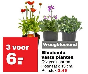 Aanbiedingen Bloeiende vaste planten - Huismerk - Praxis - Geldig van 18/04/2017 tot 23/04/2017 bij Praxis