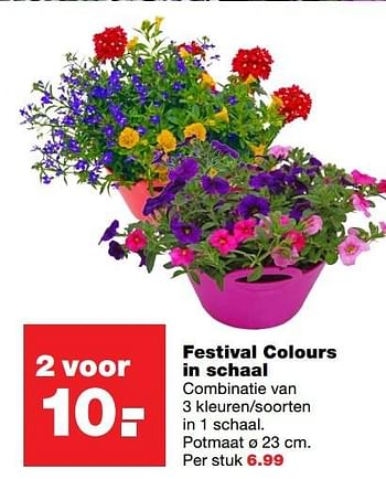 Aanbiedingen Festival colours in schaal - Huismerk - Praxis - Geldig van 18/04/2017 tot 23/04/2017 bij Praxis