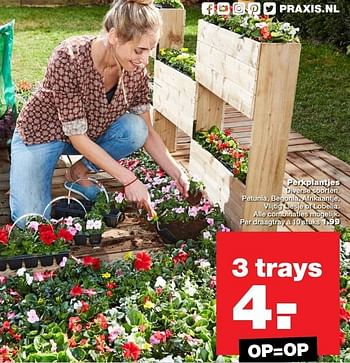 Aanbiedingen Perkplantjes - Huismerk - Praxis - Geldig van 18/04/2017 tot 23/04/2017 bij Praxis
