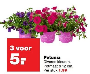 Aanbiedingen Petunia - Huismerk - Praxis - Geldig van 18/04/2017 tot 23/04/2017 bij Praxis