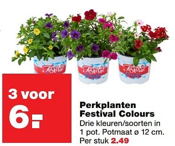 Aanbiedingen Perkplanten festival colours - Huismerk - Praxis - Geldig van 18/04/2017 tot 23/04/2017 bij Praxis