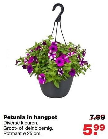Aanbiedingen Petunia in hangpot - Huismerk - Praxis - Geldig van 18/04/2017 tot 23/04/2017 bij Praxis