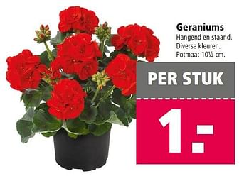 Aanbiedingen Geraniums - Huismerk - Welkoop - Geldig van 10/04/2017 tot 23/04/2017 bij Welkoop