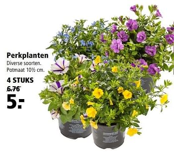 Aanbiedingen Perkplanten - Huismerk - Welkoop - Geldig van 10/04/2017 tot 23/04/2017 bij Welkoop