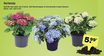 Aanbiedingen Hortensia - Huismerk - Aldi - Geldig van 24/04/2017 tot 29/04/2017 bij Aldi