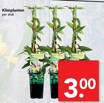 Aanbiedingen Klimplanten - Huismerk deen supermarkt - Geldig van 23/04/2017 tot 29/04/2017 bij Deen Supermarkten