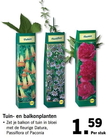 Aanbiedingen Tuin- en balkonplanten - Huismerk - Lidl - Geldig van 24/04/2017 tot 29/04/2017 bij Lidl
