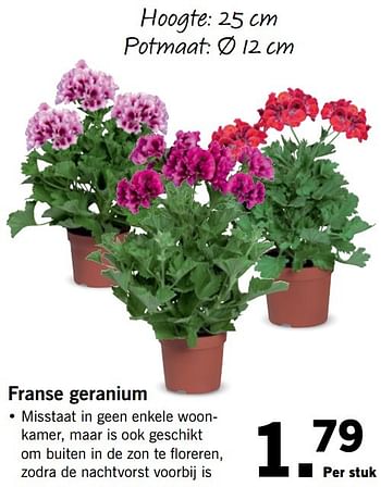 Aanbiedingen Franse geranium - Huismerk - Lidl - Geldig van 24/04/2017 tot 29/04/2017 bij Lidl