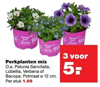 Aanbiedingen Perkplanten mix - Huismerk - Praxis - Geldig van 24/04/2017 tot 30/04/2017 bij Praxis