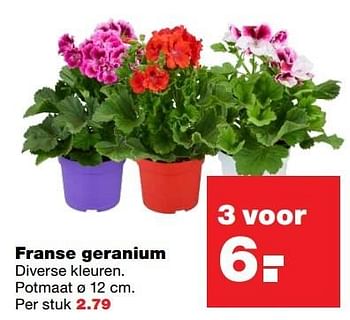 Aanbiedingen Franse geranium - Huismerk - Praxis - Geldig van 24/04/2017 tot 30/04/2017 bij Praxis