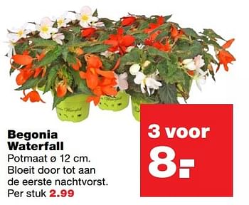 Aanbiedingen Begonia waterfall - Huismerk - Praxis - Geldig van 24/04/2017 tot 30/04/2017 bij Praxis