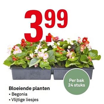 Aanbiedingen Bloeiende planten - Huismerk Karwei - Geldig van 24/04/2017 tot 30/04/2017 bij Karwei