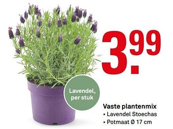 Aanbiedingen Vaste plantenmix - Huismerk Karwei - Geldig van 24/04/2017 tot 30/04/2017 bij Karwei