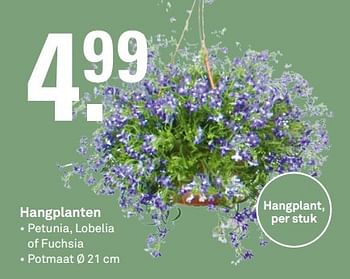 Aanbiedingen Hangplanten - Huismerk Karwei - Geldig van 24/04/2017 tot 30/04/2017 bij Karwei
