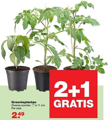 Aanbiedingen Groenteplanten - Huismerk - Praxis - Geldig van 24/04/2017 tot 30/04/2017 bij Praxis