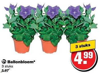 Aanbiedingen Ballonbloem - Huismerk - Hoogvliet - Geldig van 26/04/2017 tot 02/05/2017 bij Hoogvliet