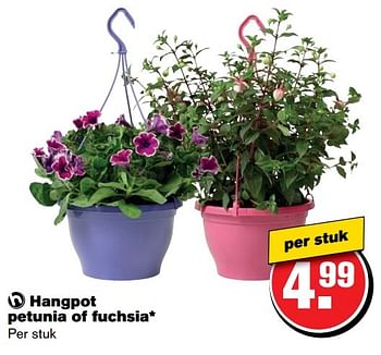 Aanbiedingen Hangpot petunia of fuchsia - Huismerk - Hoogvliet - Geldig van 26/04/2017 tot 02/05/2017 bij Hoogvliet