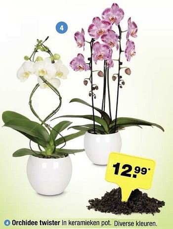 Aanbiedingen Orchidee twister - Huismerk - Aldi - Geldig van 01/05/2017 tot 06/05/2017 bij Aldi