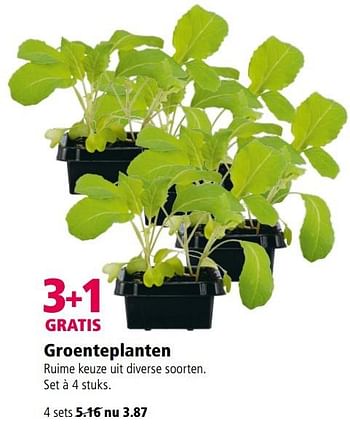 Aanbiedingen Groenteplanten - Huismerk - Welkoop - Geldig van 24/04/2017 tot 07/05/2017 bij Welkoop