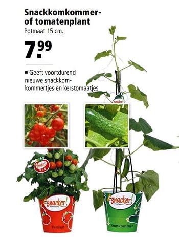 Aanbiedingen Snackkomkommerof tomatenplant - Huismerk - Welkoop - Geldig van 24/04/2017 tot 07/05/2017 bij Welkoop
