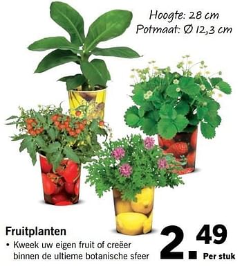 Aanbiedingen Fruitplanten - Huismerk - Lidl - Geldig van 30/04/2017 tot 07/05/2017 bij Lidl