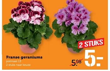 Aanbiedingen Franse geraniums - Huismerk - Coop - Geldig van 01/05/2017 tot 07/05/2017 bij Coop