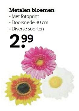 Aanbiedingen Metalen bloemen - Huismerk- Boerenbond - Geldig van 01/05/2017 tot 14/05/2017 bij Boerenbond