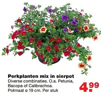 Aanbiedingen Perkplanten mix in sierpot - Huismerk - Praxis - Geldig van 01/05/2017 tot 07/05/2017 bij Praxis